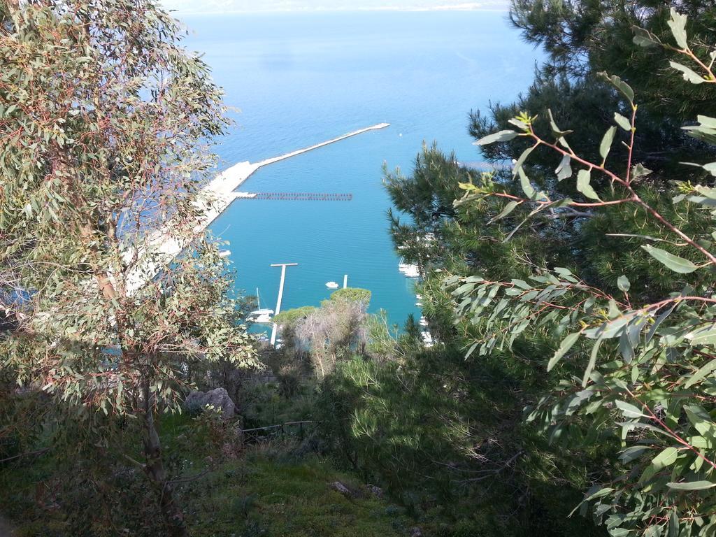 Blunda Holiday Home Castellammare del Golfo Extérieur photo